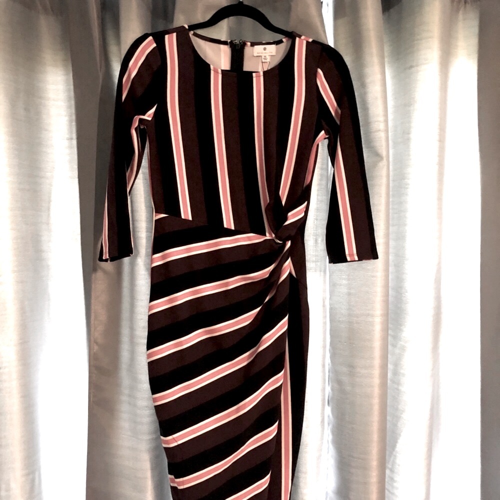 NWT long sleeve dress brown